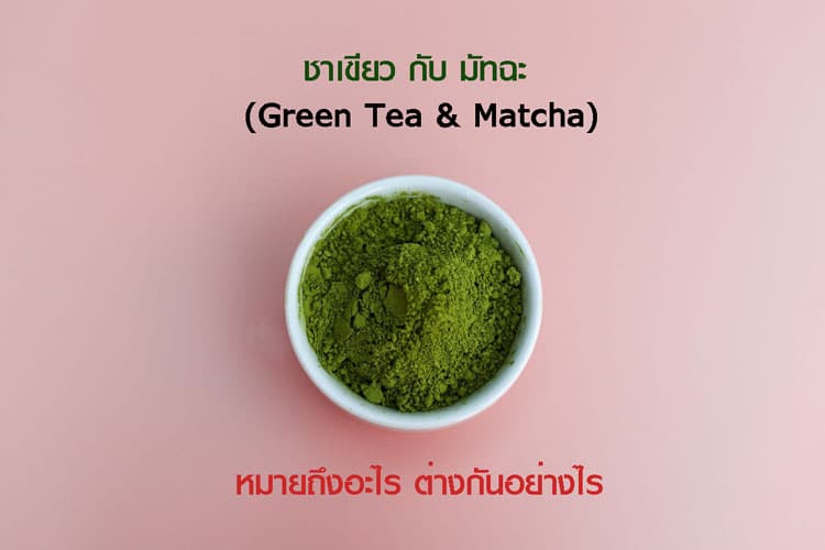 ปก ชาเขียว กับ มัทฉะ (Green Tea & Matcha) หมายถึงอะไร ต่างกันอย่างไร