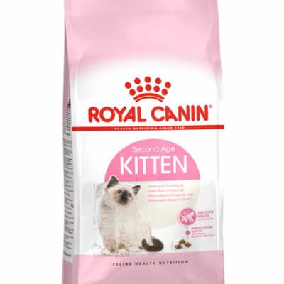 Royal-canin-สูตร-Mother&Babycat-กับ-สูตร-Persian-cat-(ลูกแมว)