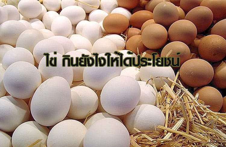 ปก ไข่ กินยังไงให้ได้ประโยชน์