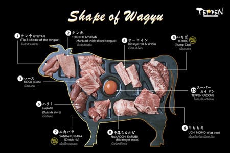 Shape-of-Wagyu