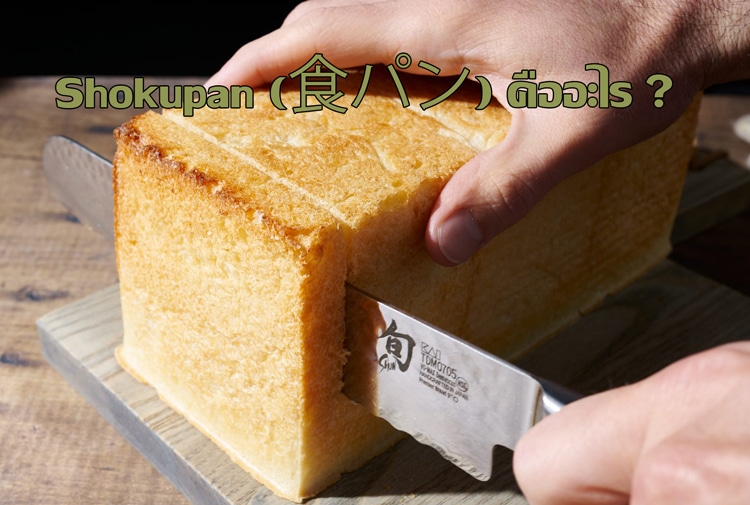 ปก Shokupan (食パン) คืออะไร ?